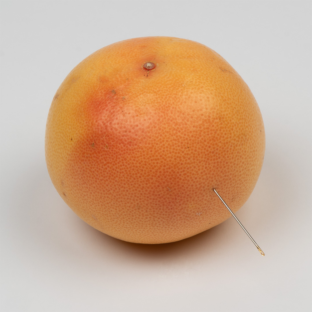 photo of a grapefruit with a needle sticking out of it